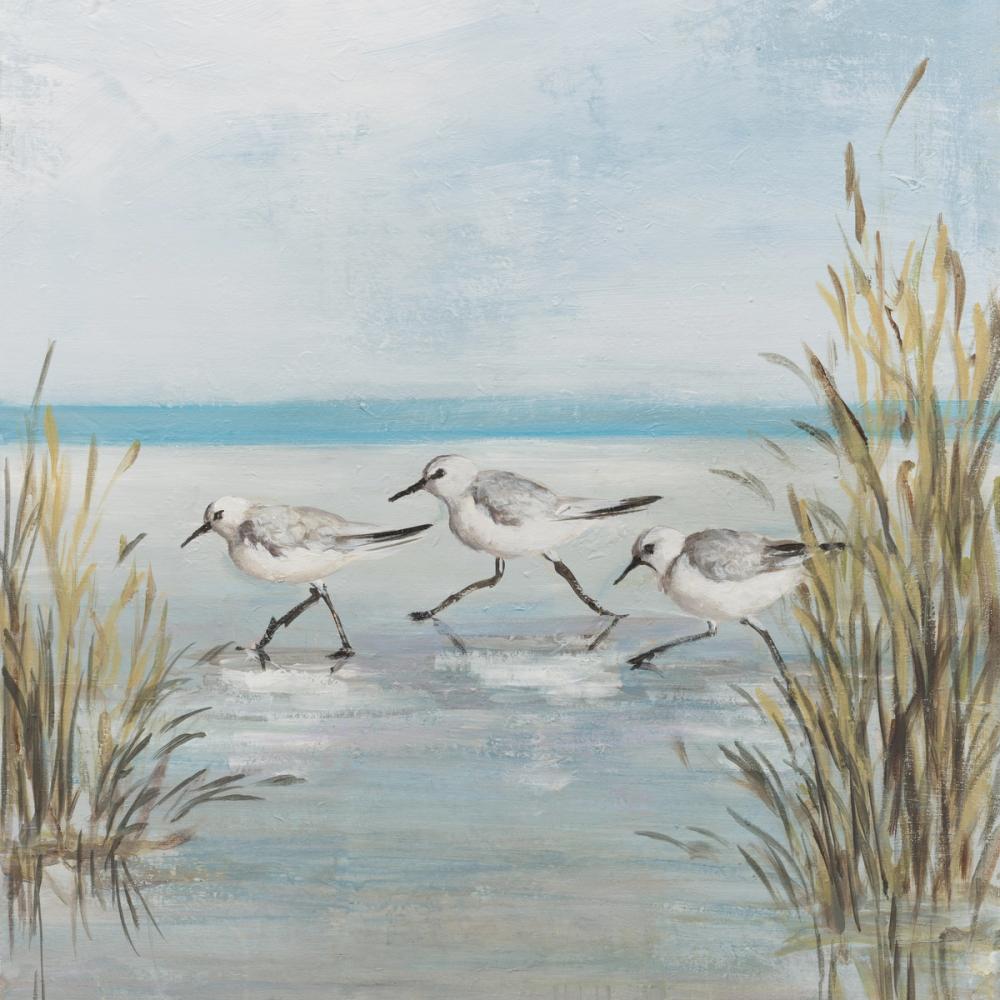 Beach Birds III
