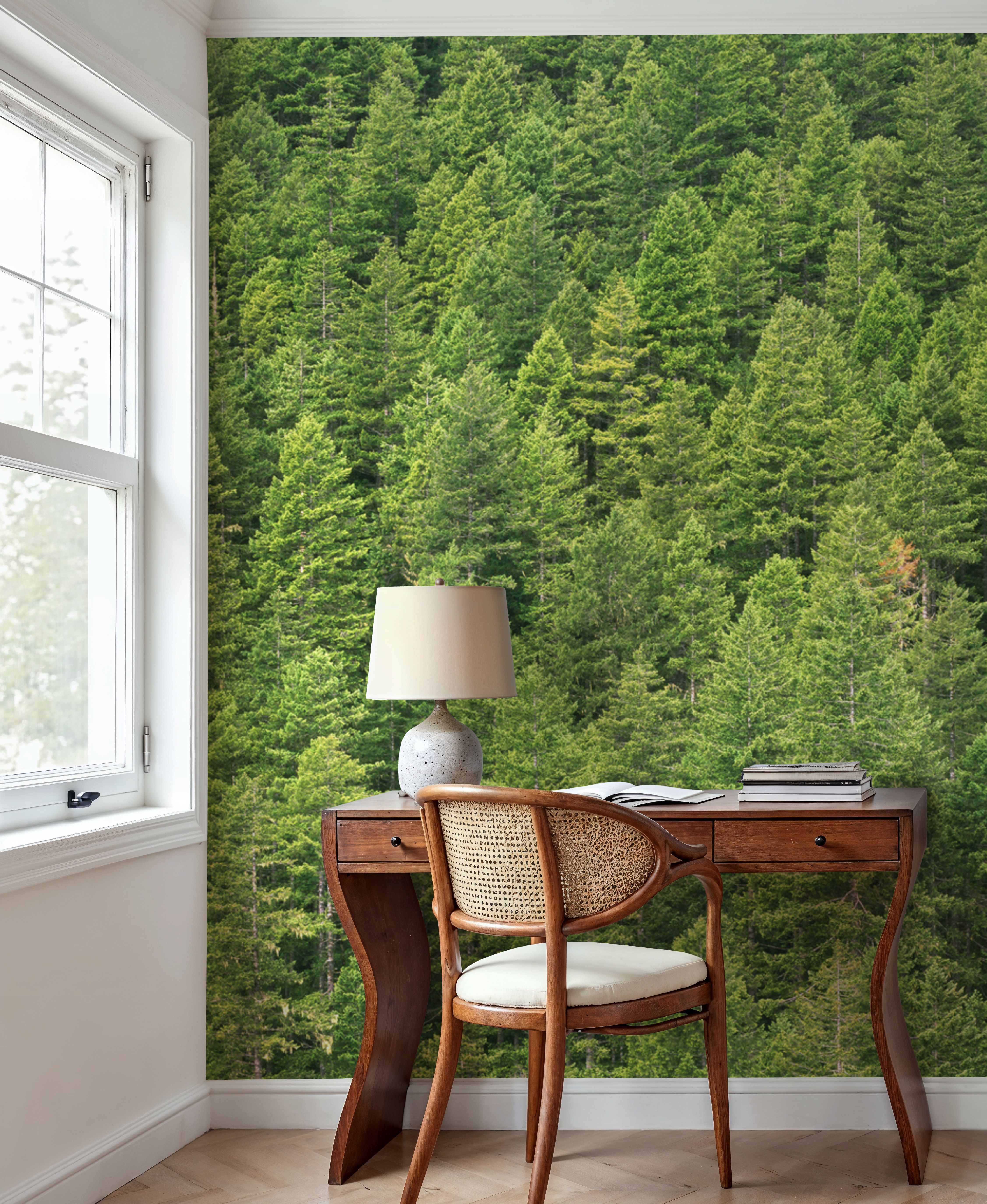 Evergreen Forest in Washintong State