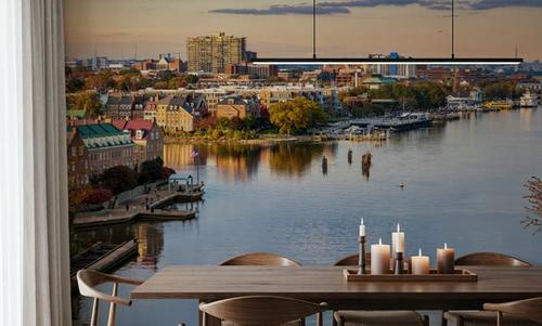Potomac Views