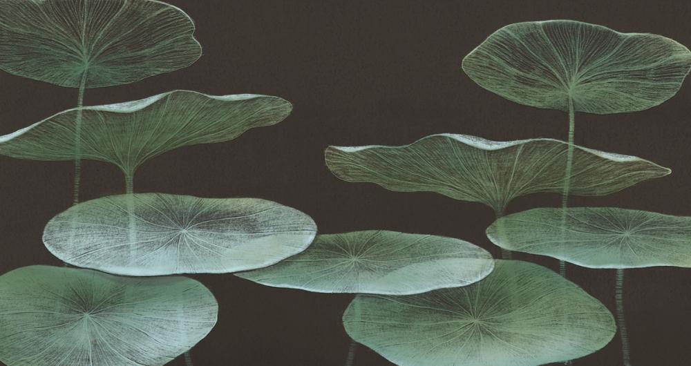Subtle Water Lily Drawing, Black