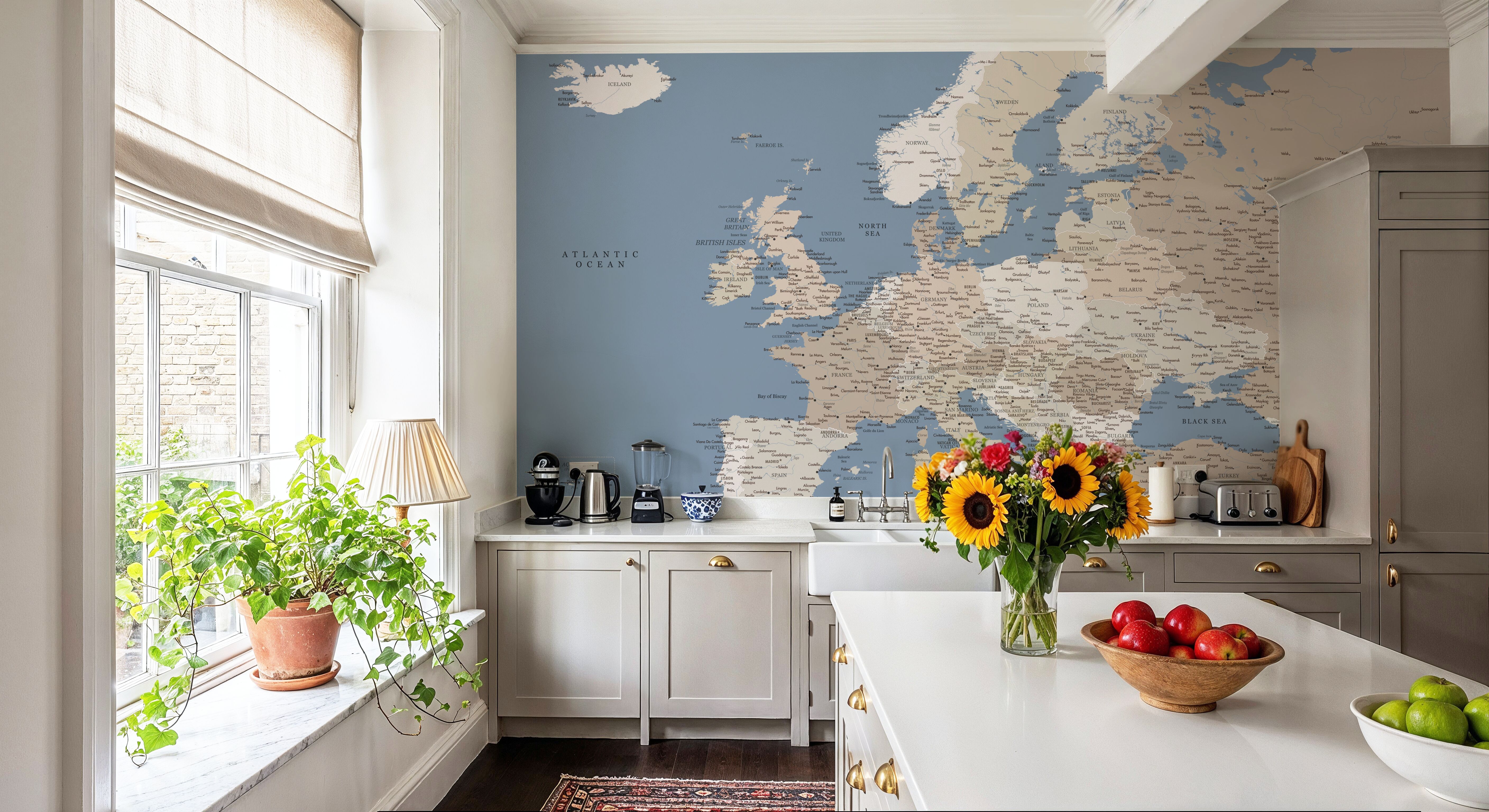 Europe Map Detailed - Amias