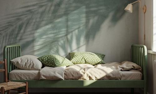 Palm Shadow I