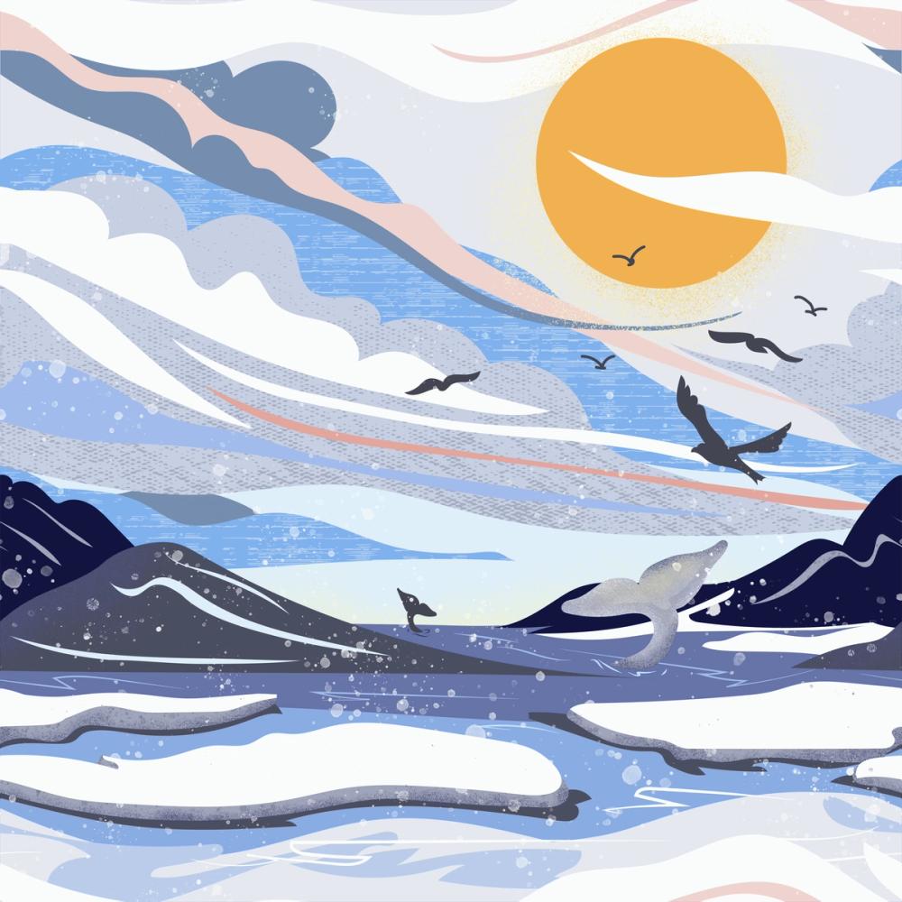 Coastal Apricity, Blue