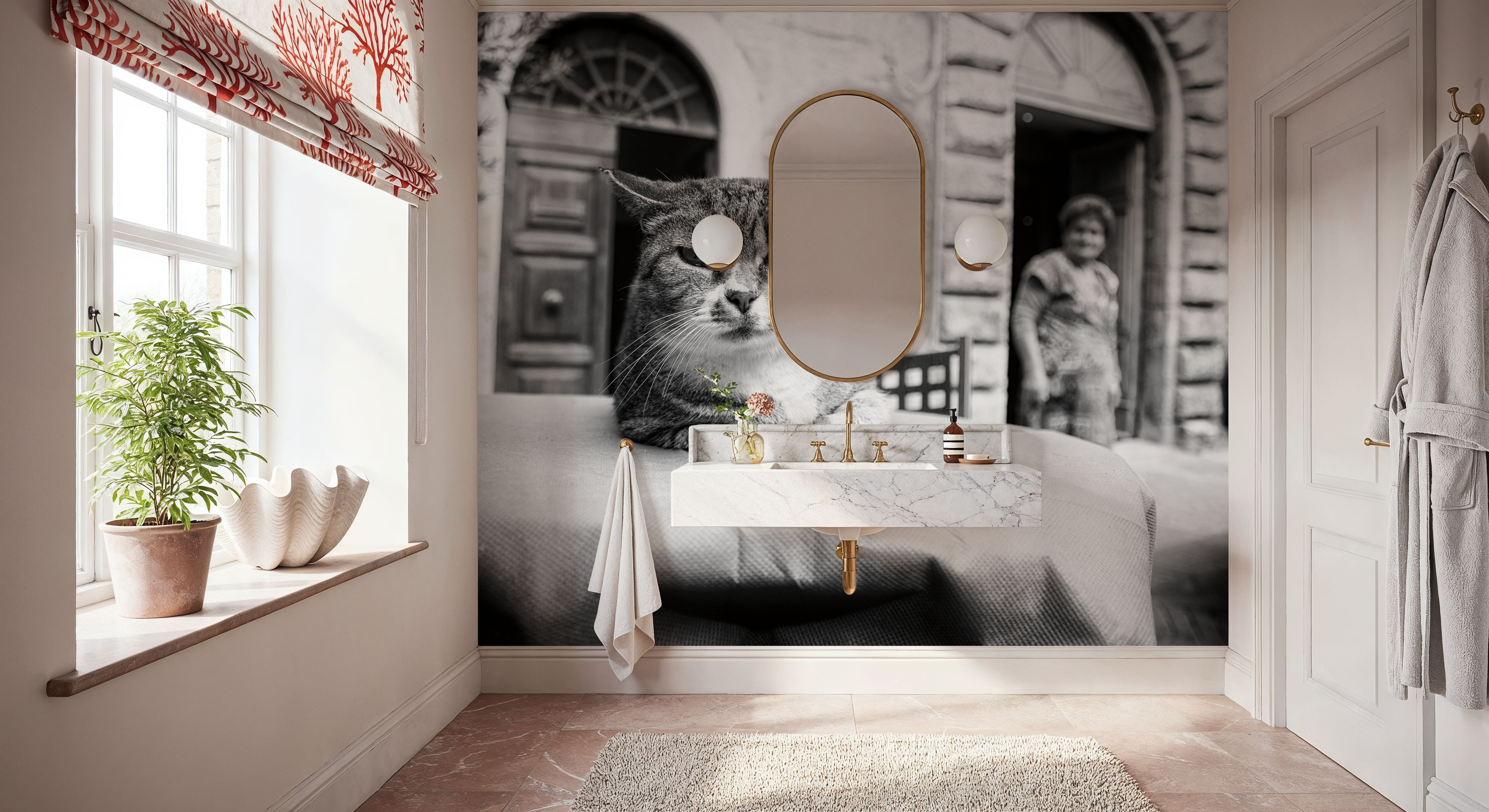 Cafe Cat