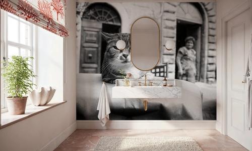 Cafe Cat