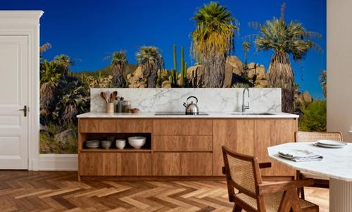 Baja Palms