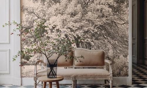 A Lime Tree