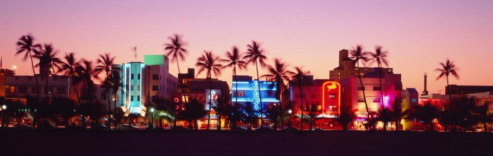 Neon Paradise Boulevard