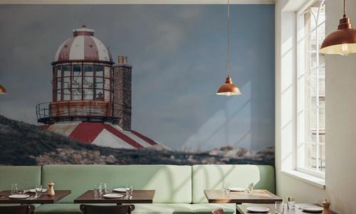 Cape Bona Vista Lighthouse III