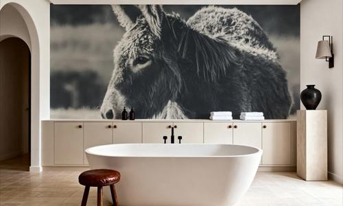 Sweet Donkey I BW