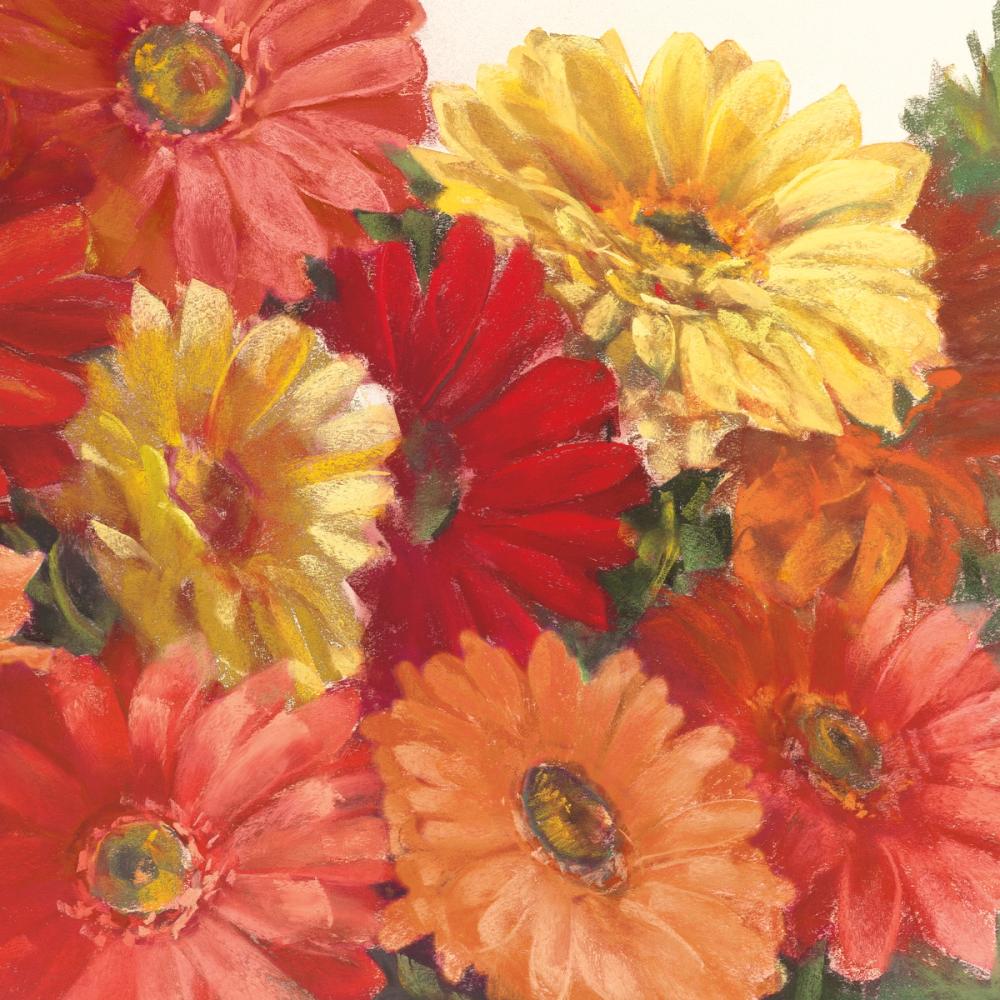 Bountiful Gerberas Square II