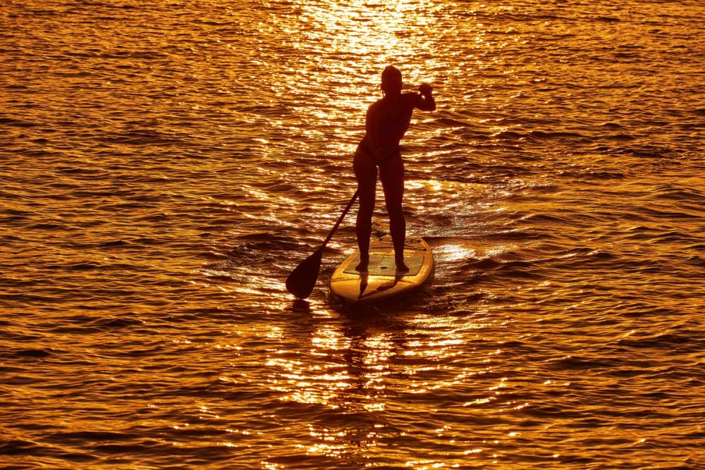 Golden Horizon Paddleboarder