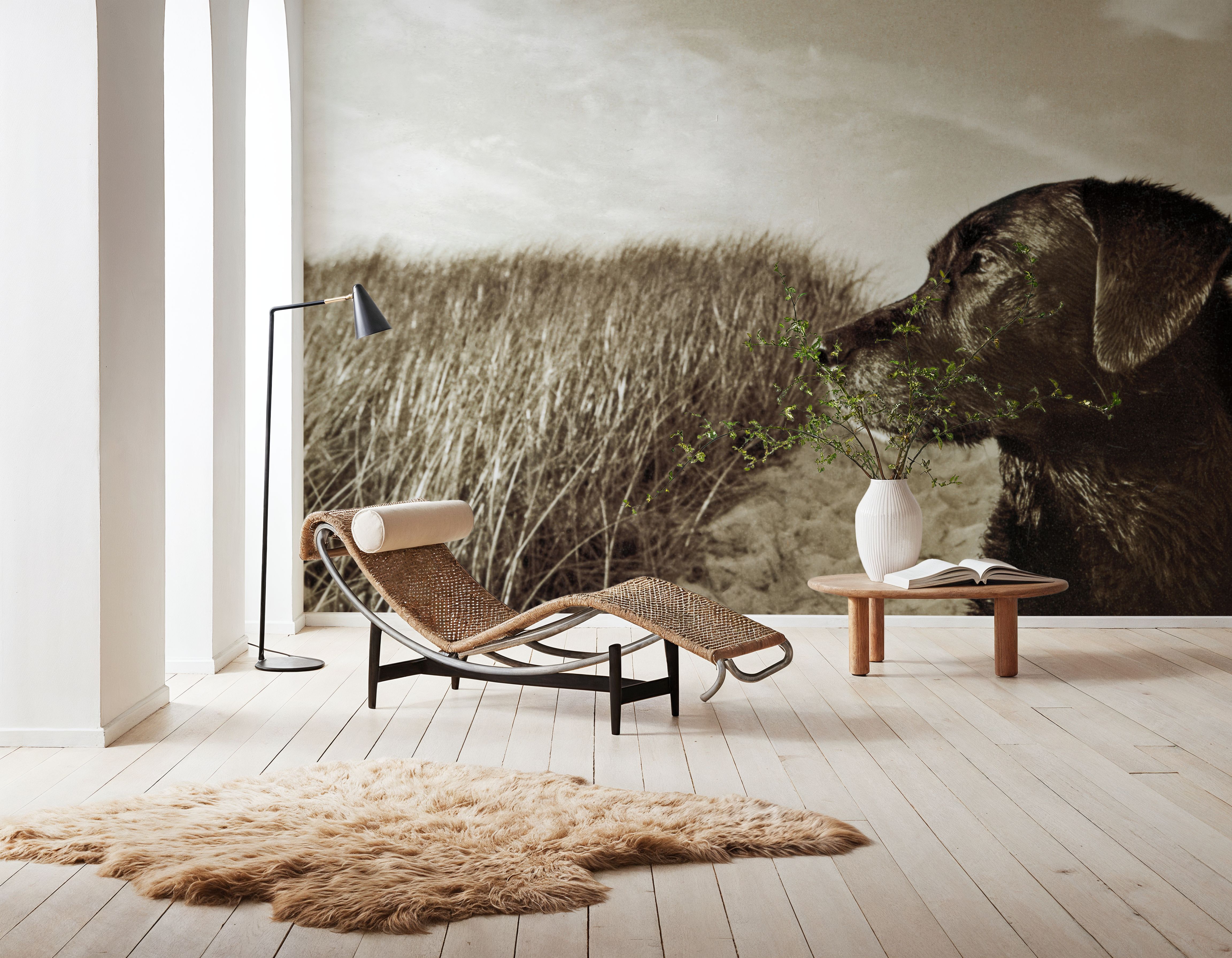 At the Labrador Beach