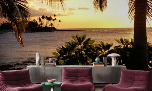 Golden Palm Horizon