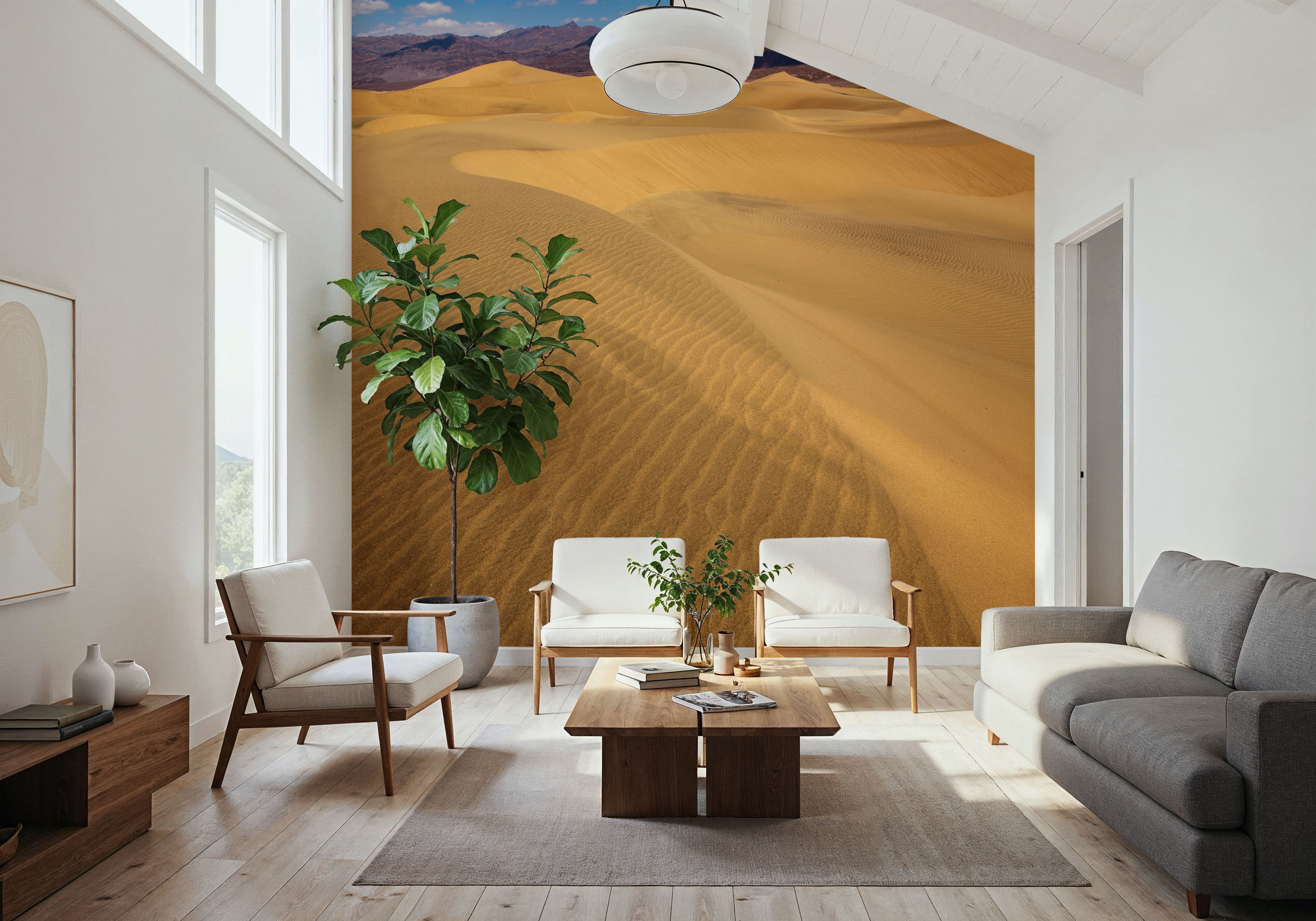 Mesquite Dunes Desert in Death Valley