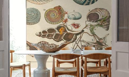 Shell Etchings I