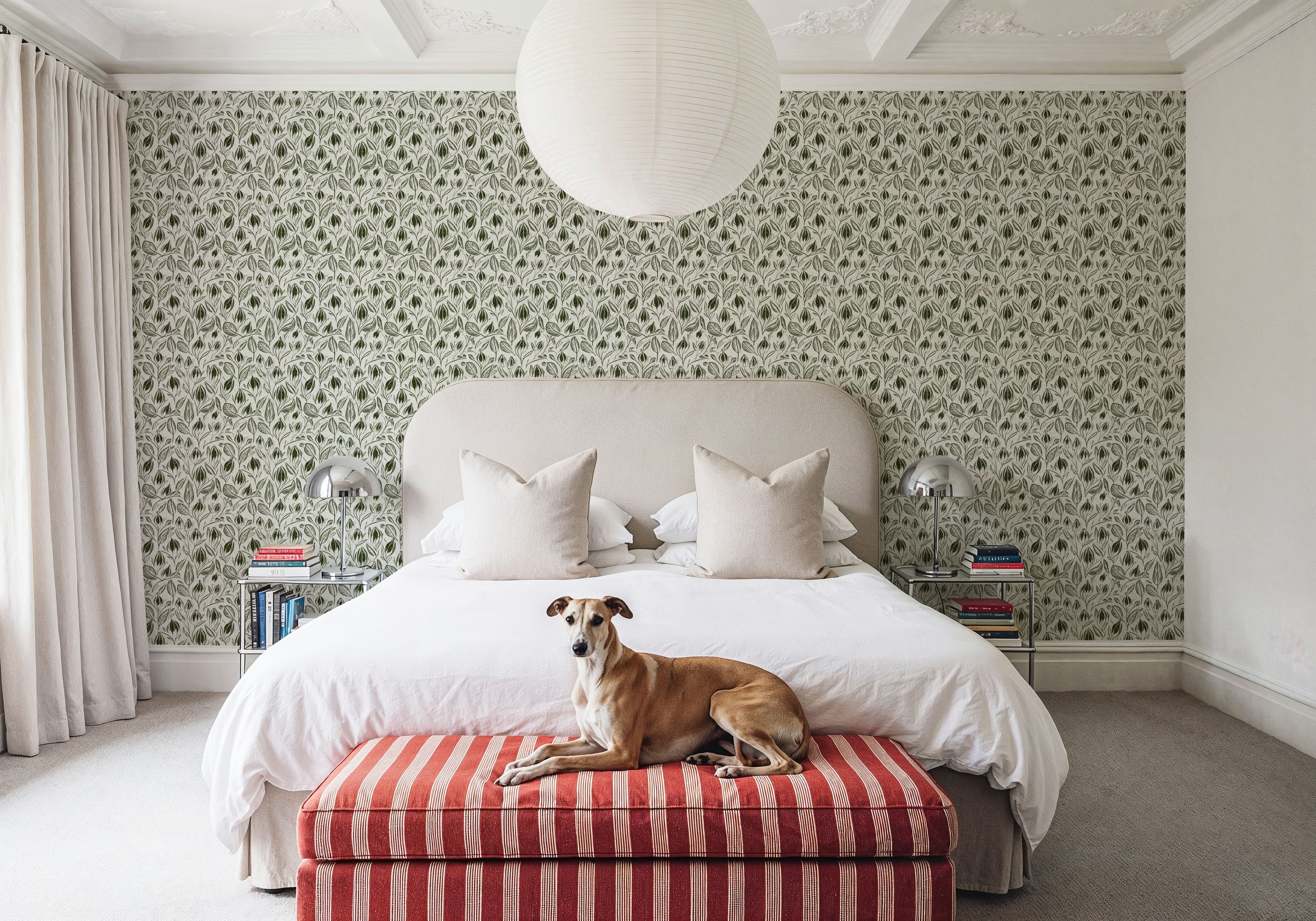 Lille, Olive Green