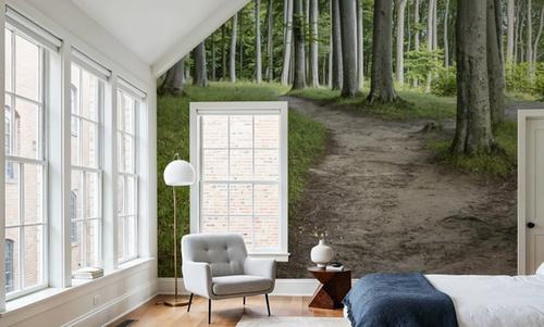 Jasmund Trails