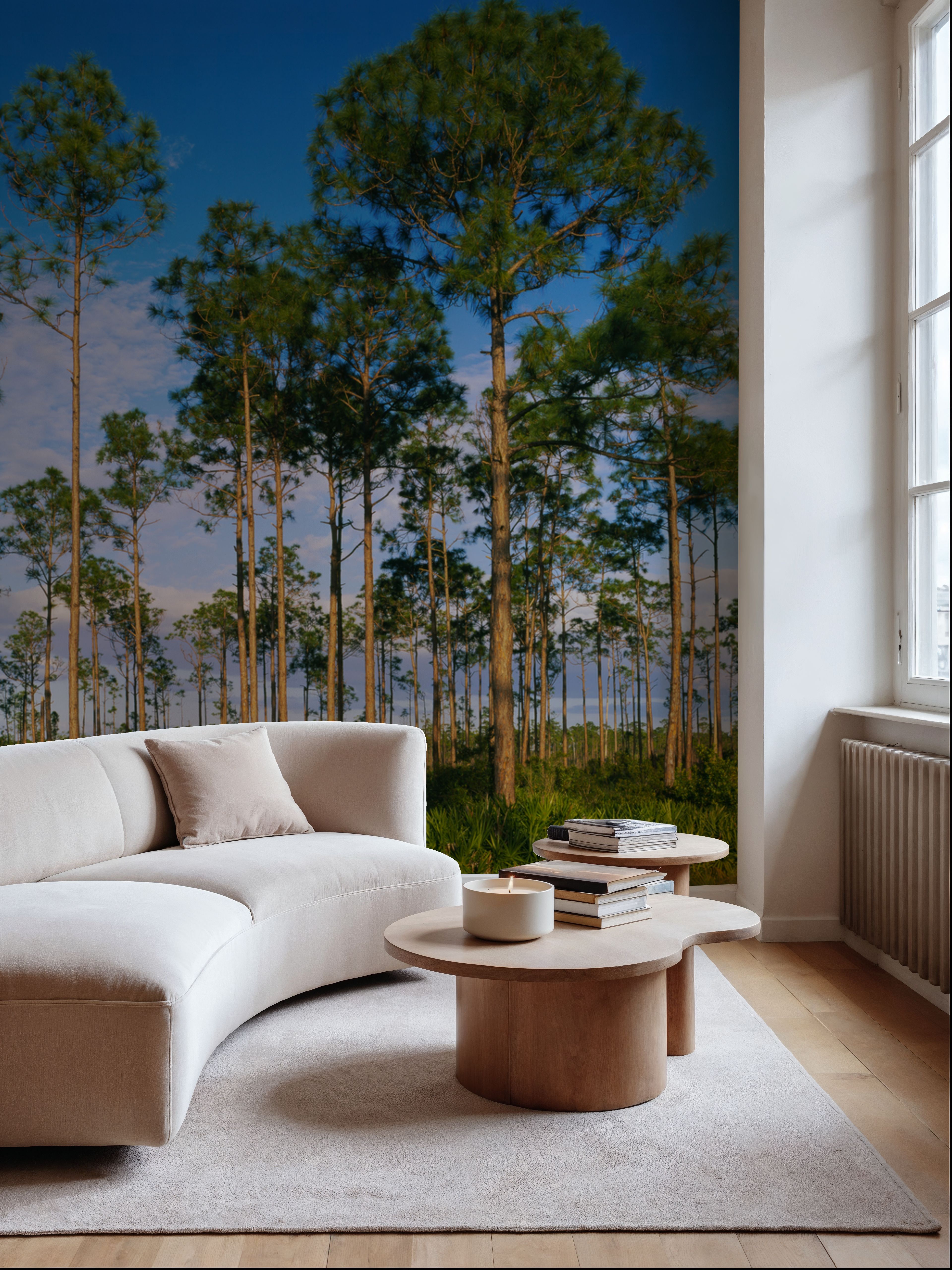 Everglades Tress in Daylight