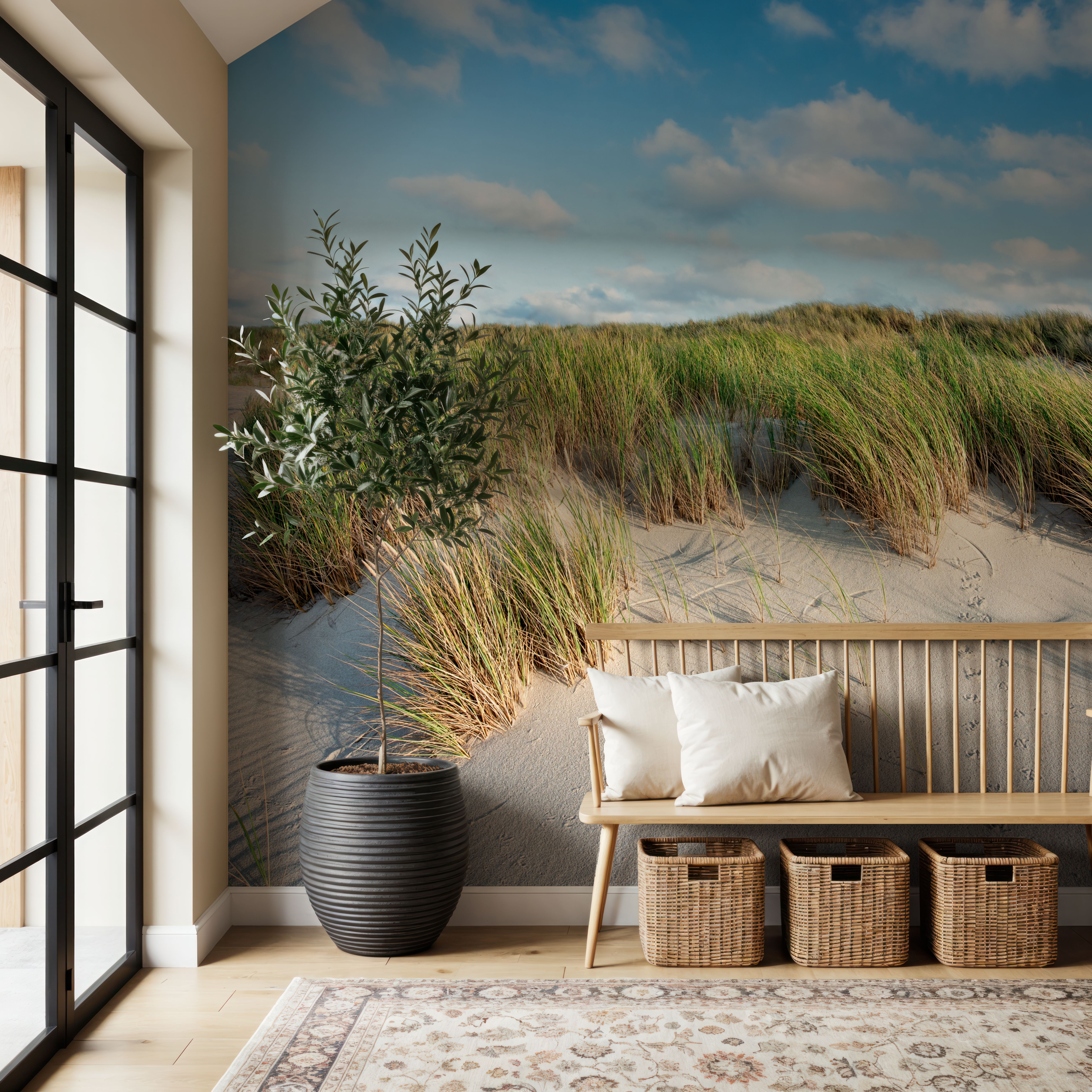 Beach Dunes