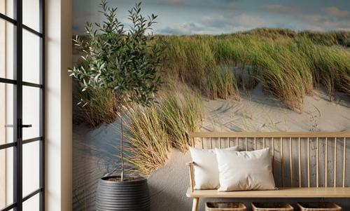 Beach Dunes