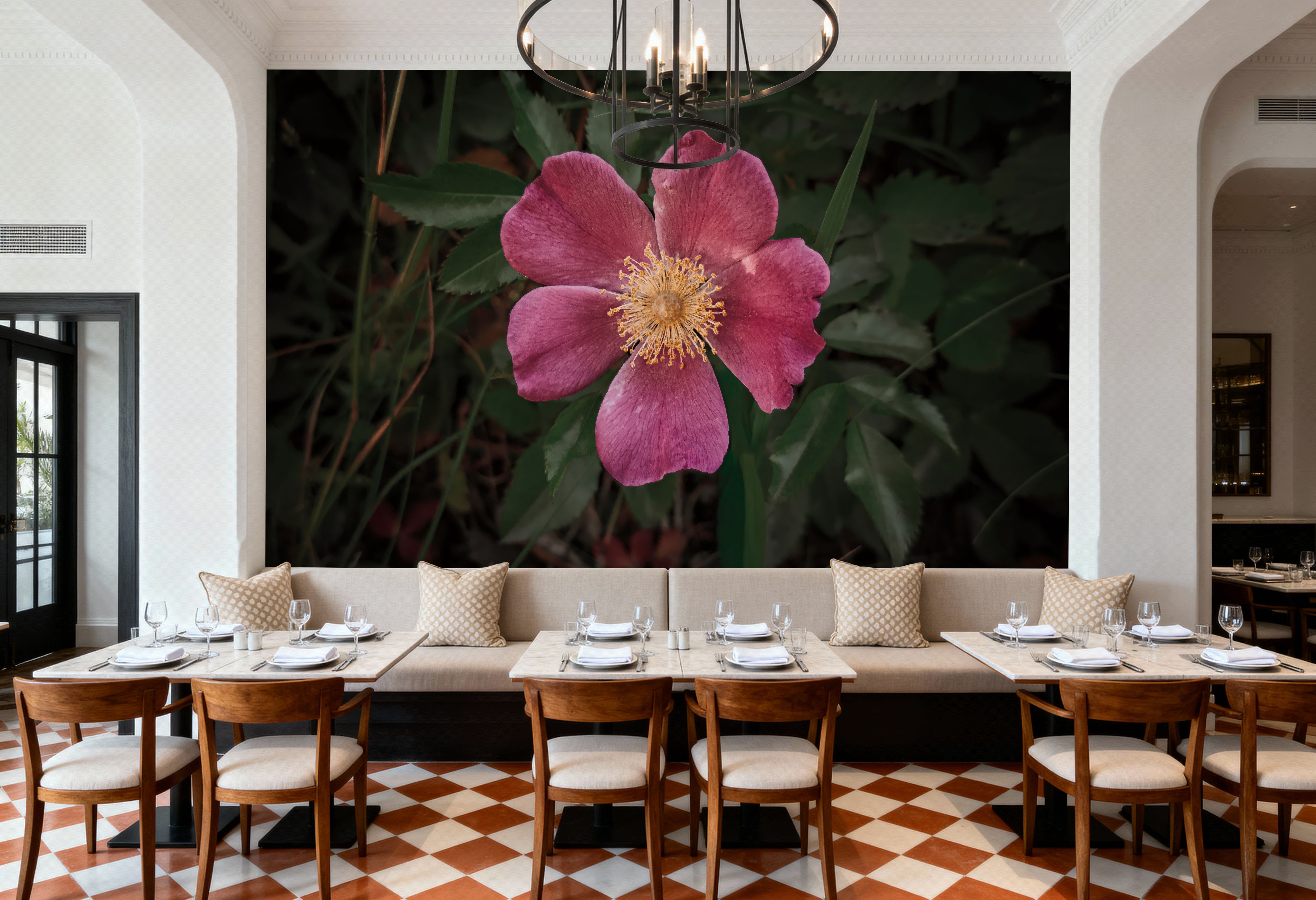 Wild Rose IV, Wallpaper