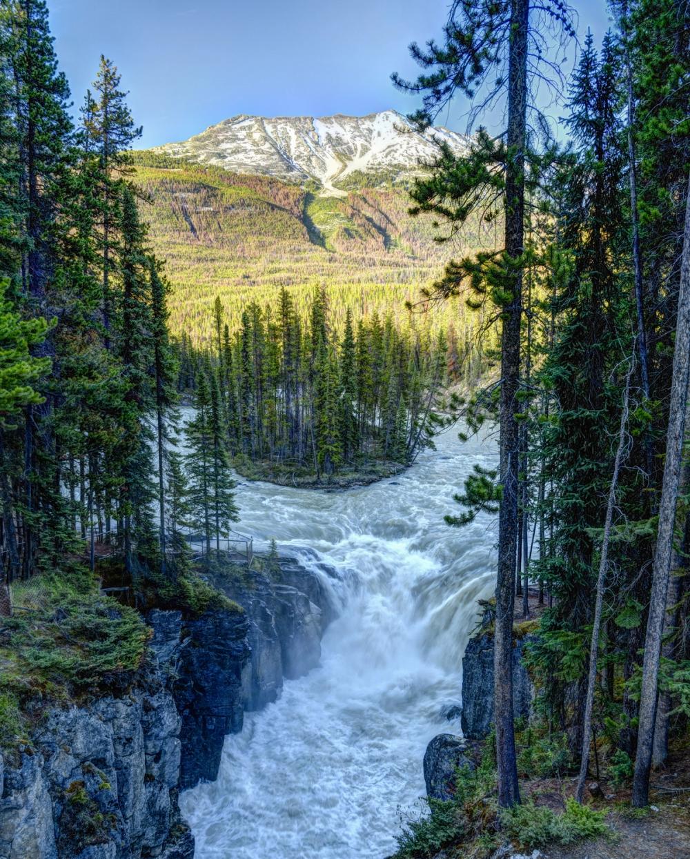 Sunwapta Falls