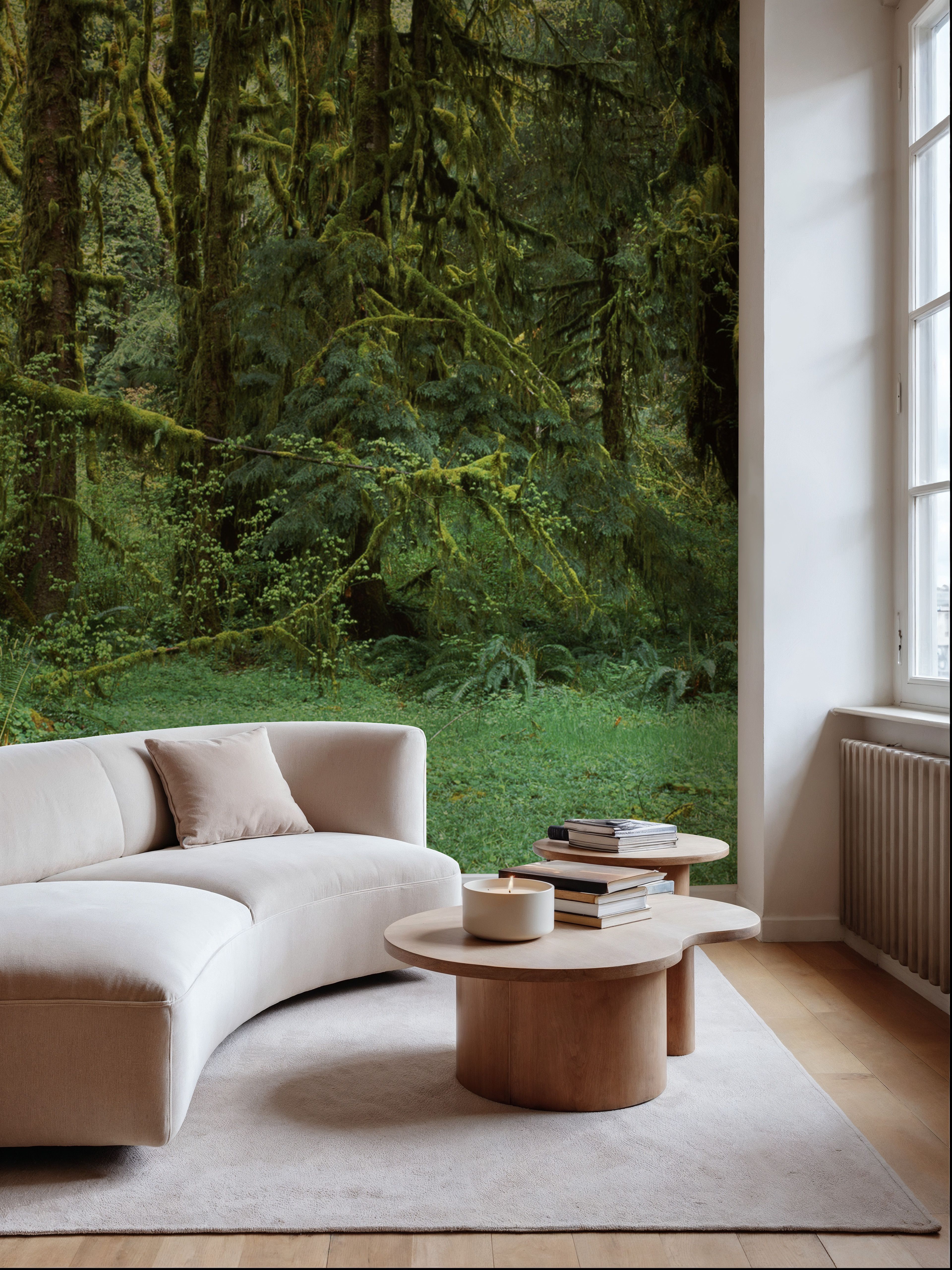 Hoh Rain Forest, Washington State