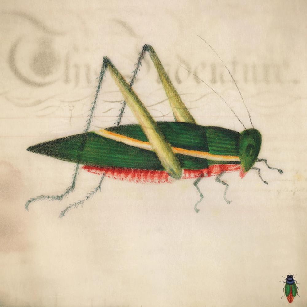 Vintage Green Grasshopper