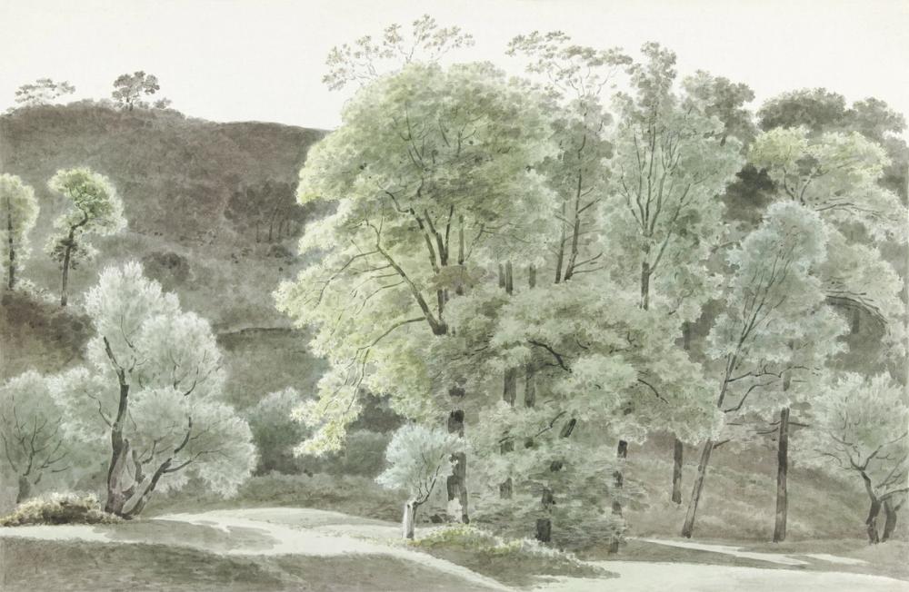 Painted Trees of Subiaco