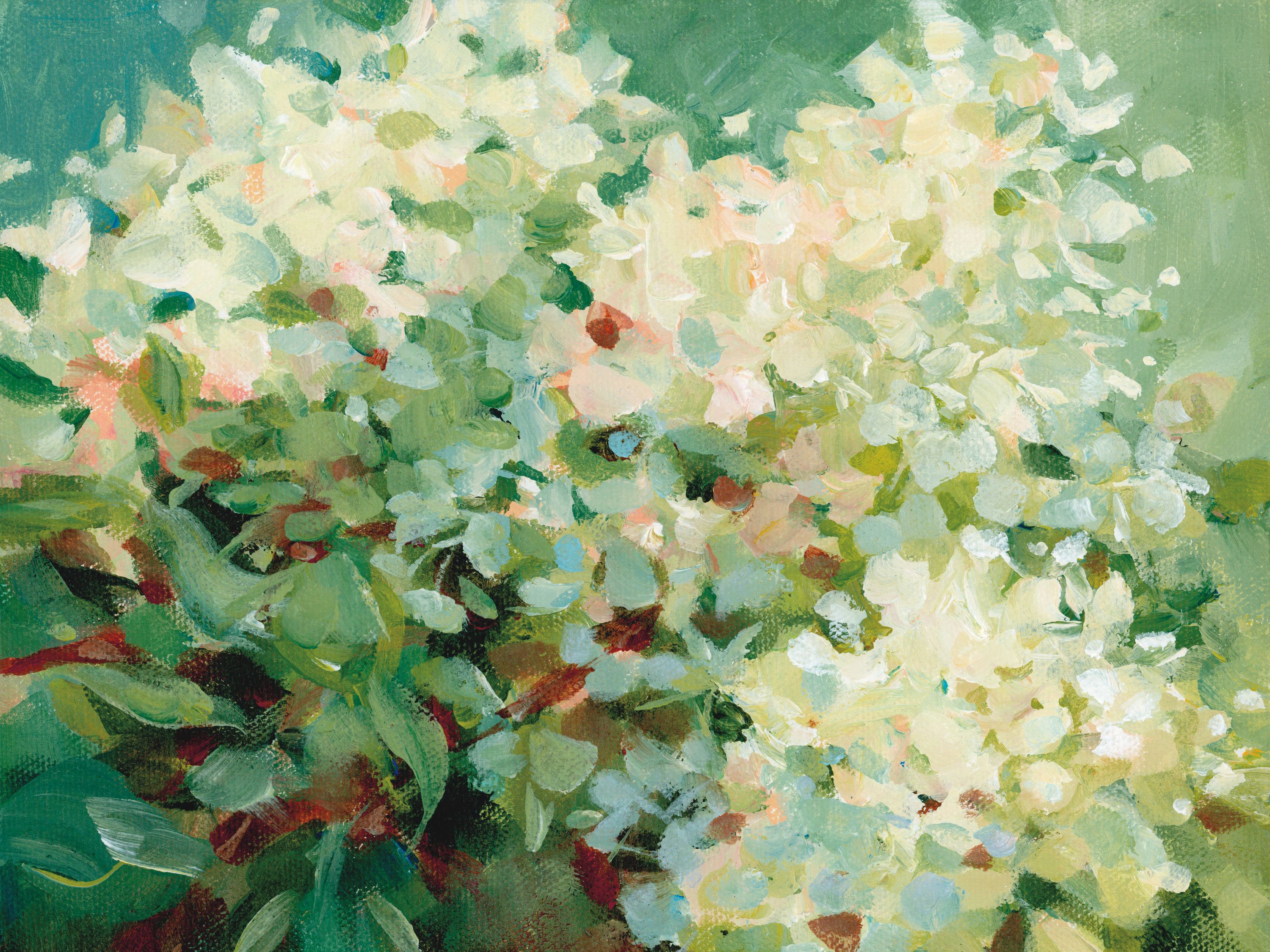 Humble Hydrangea