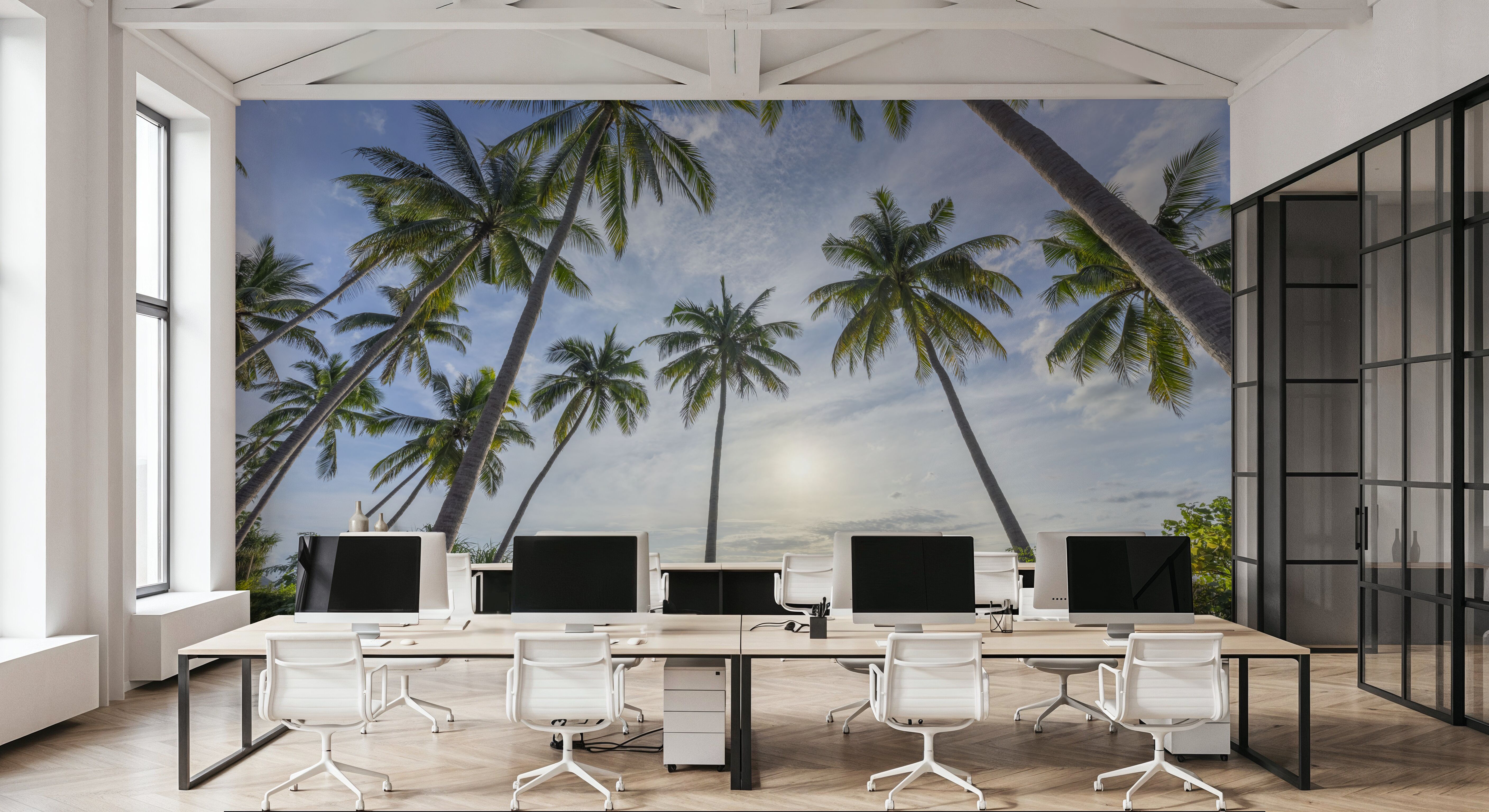 Palm Horizon