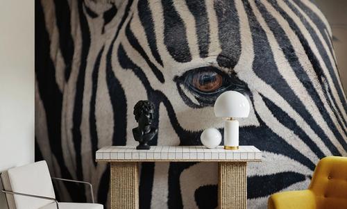 Zebra Face