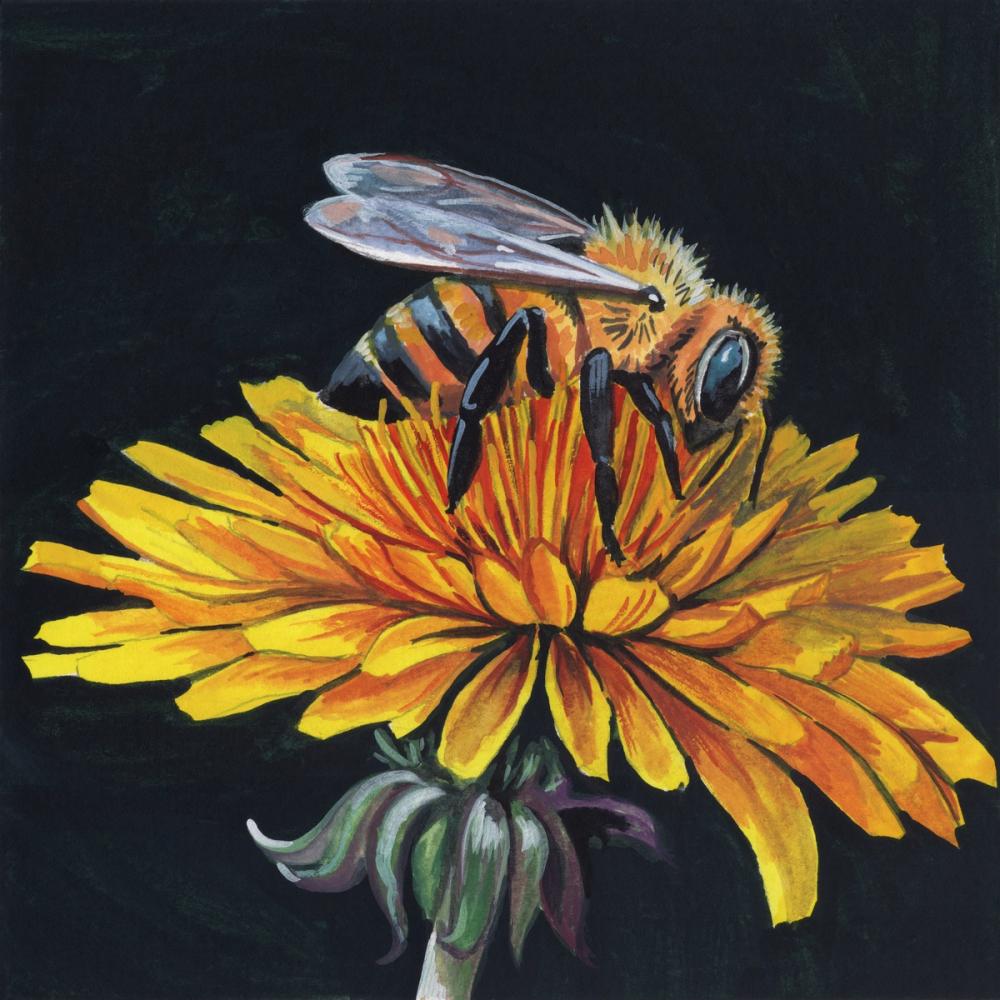Collecting Pollen