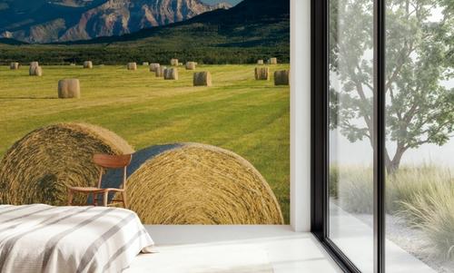 Hay Bales