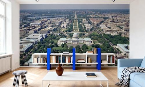Capitol Vista
