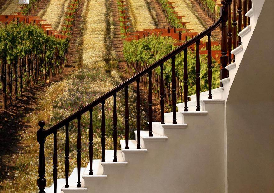 Vineyard Dreams