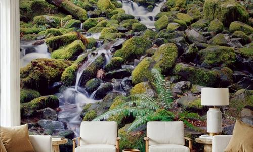 Zen Waters