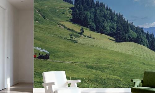Mountain Railway Journey
