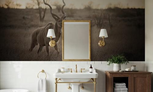 Kudu Bull