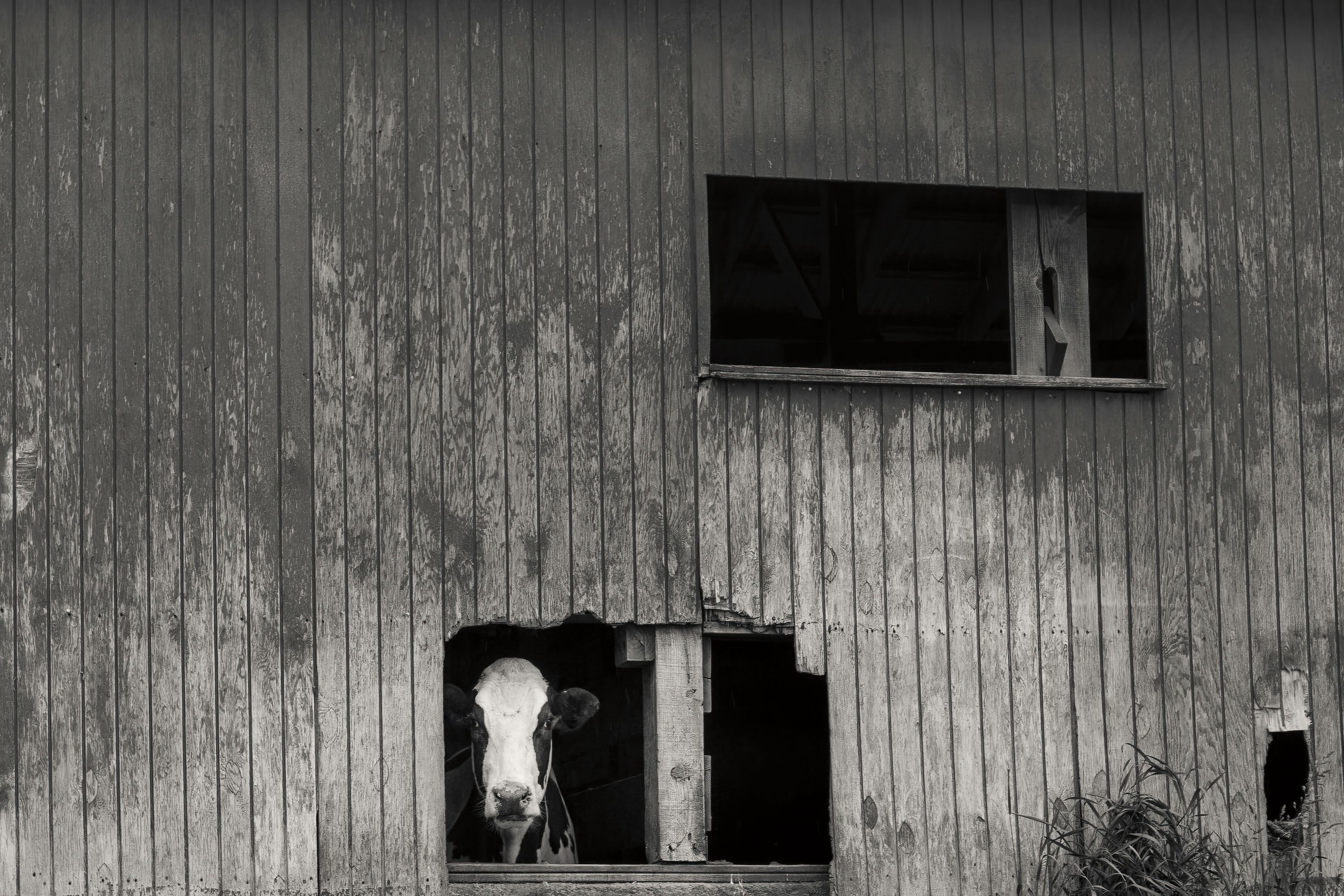 Hole in the Wall BW
