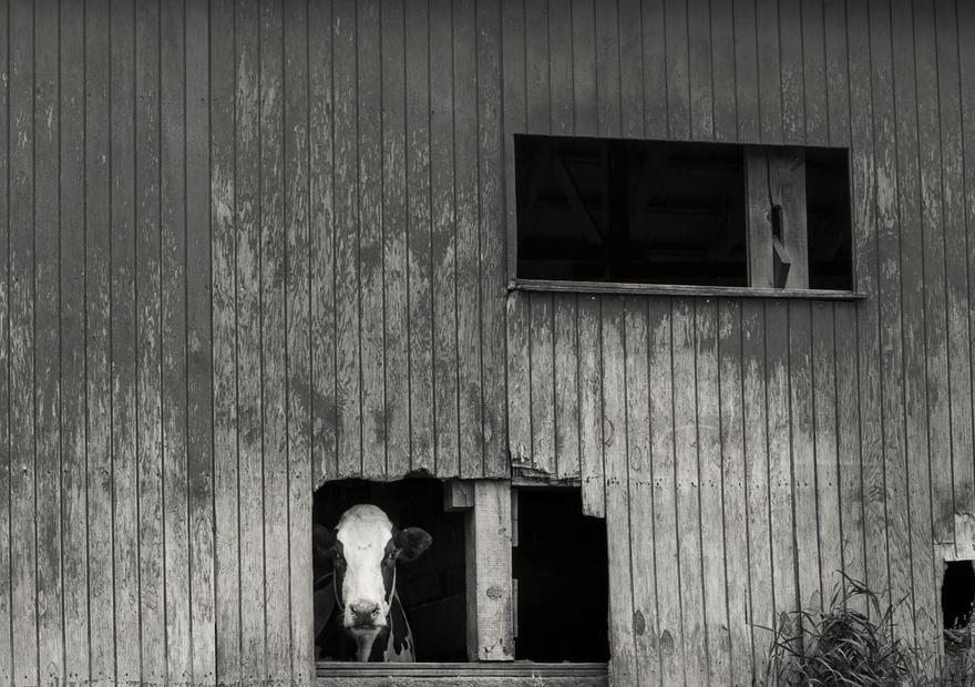 Hole in the Wall BW