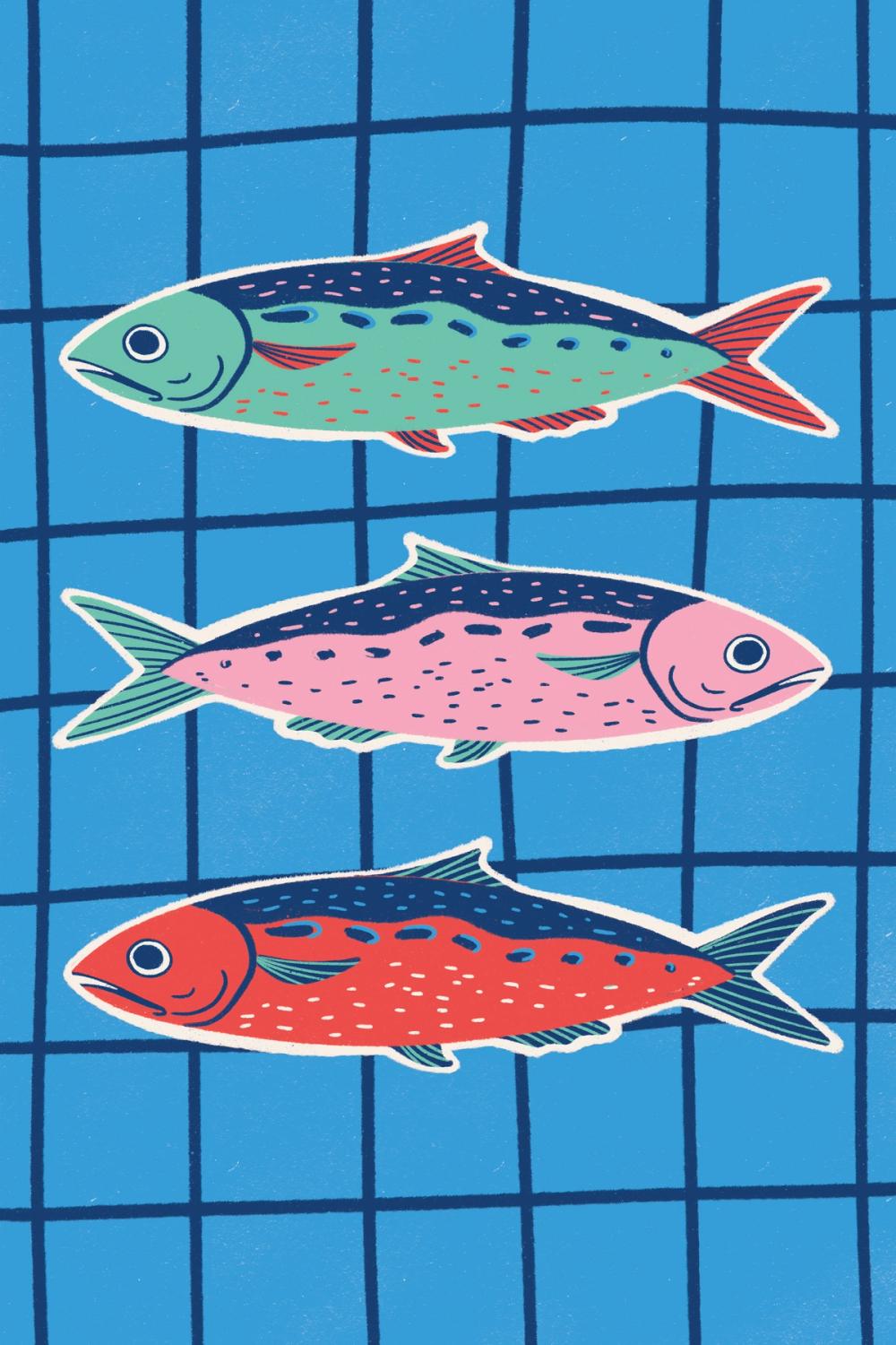 Fun Sardines IV