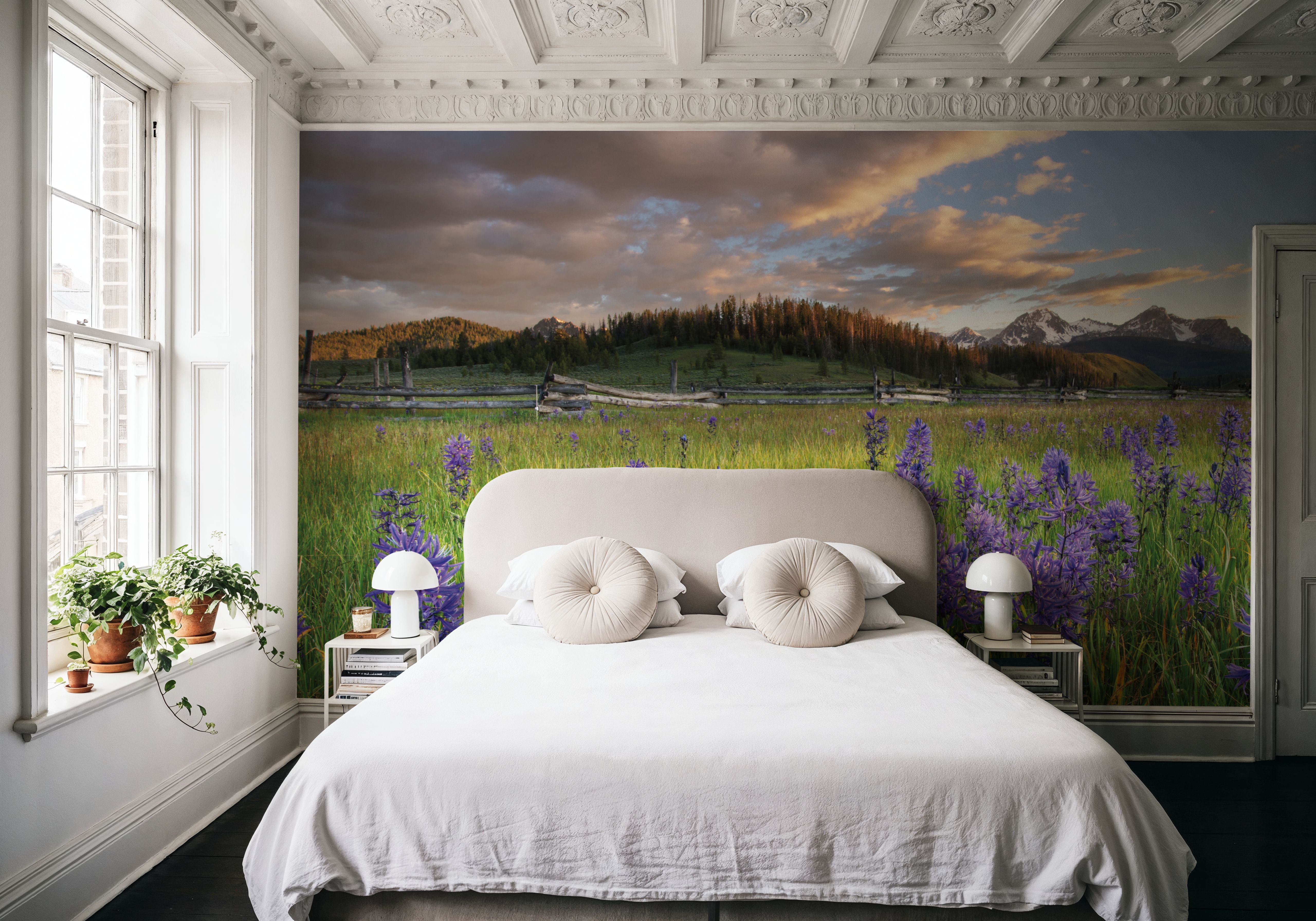 Camas Meadows in Idaho