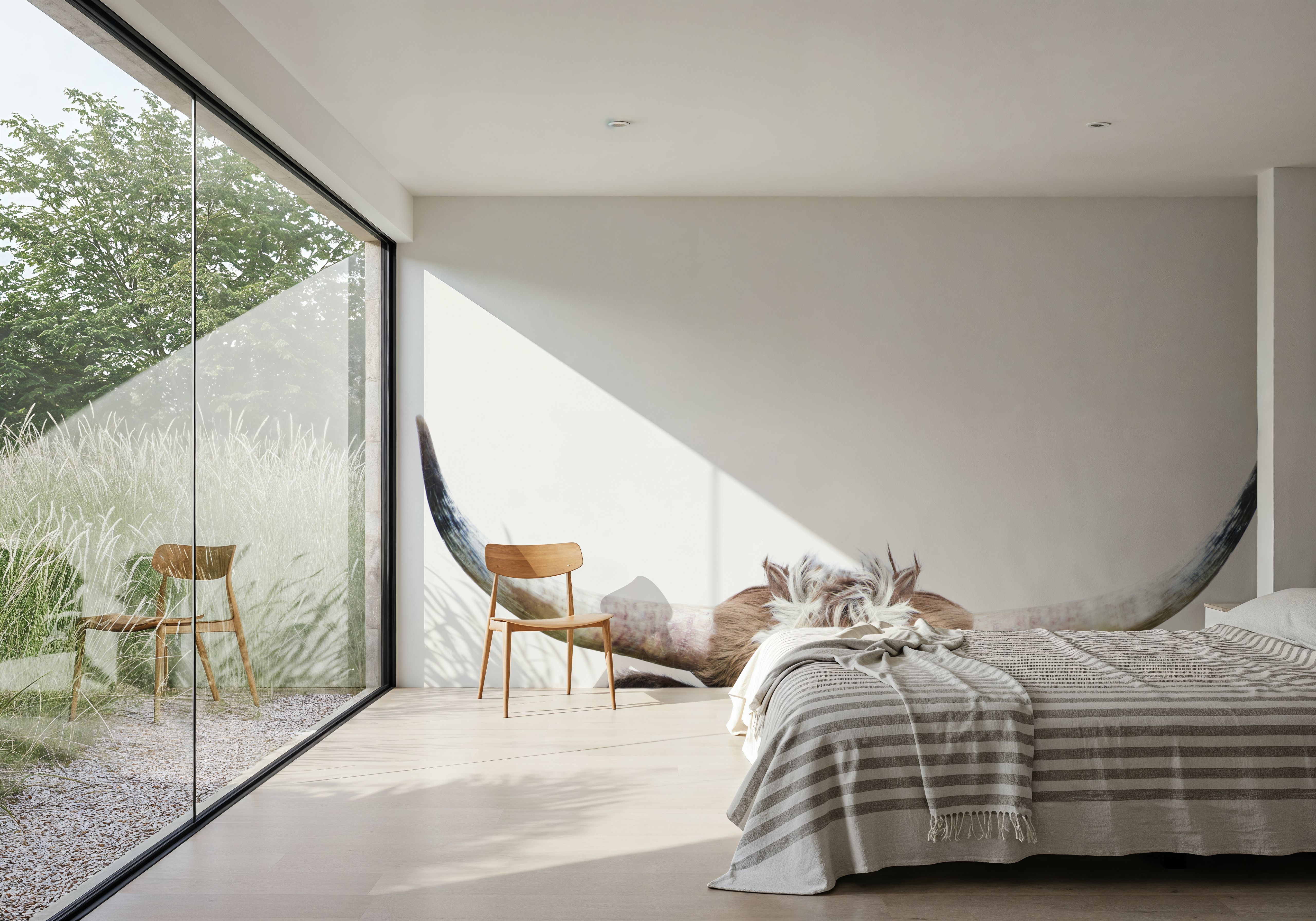 Peeking Longhorn Cow