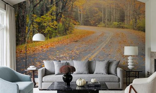 Maine Roads