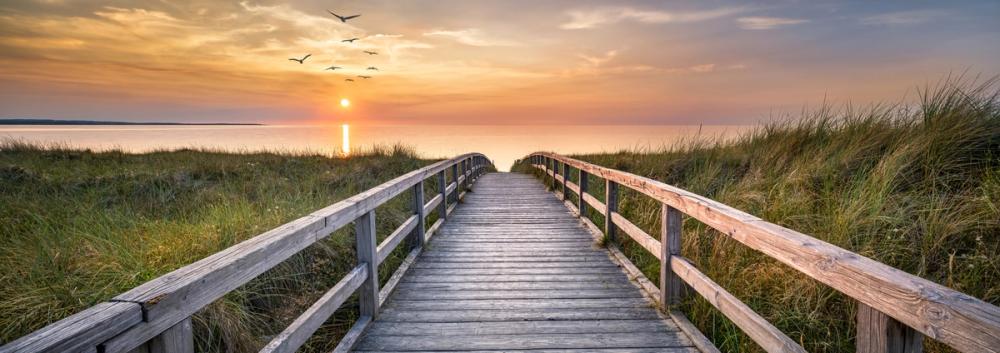 Baltic Boardwalk Pink