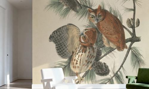 Forest Owls I