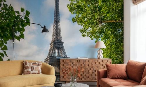 Eiffel Framed