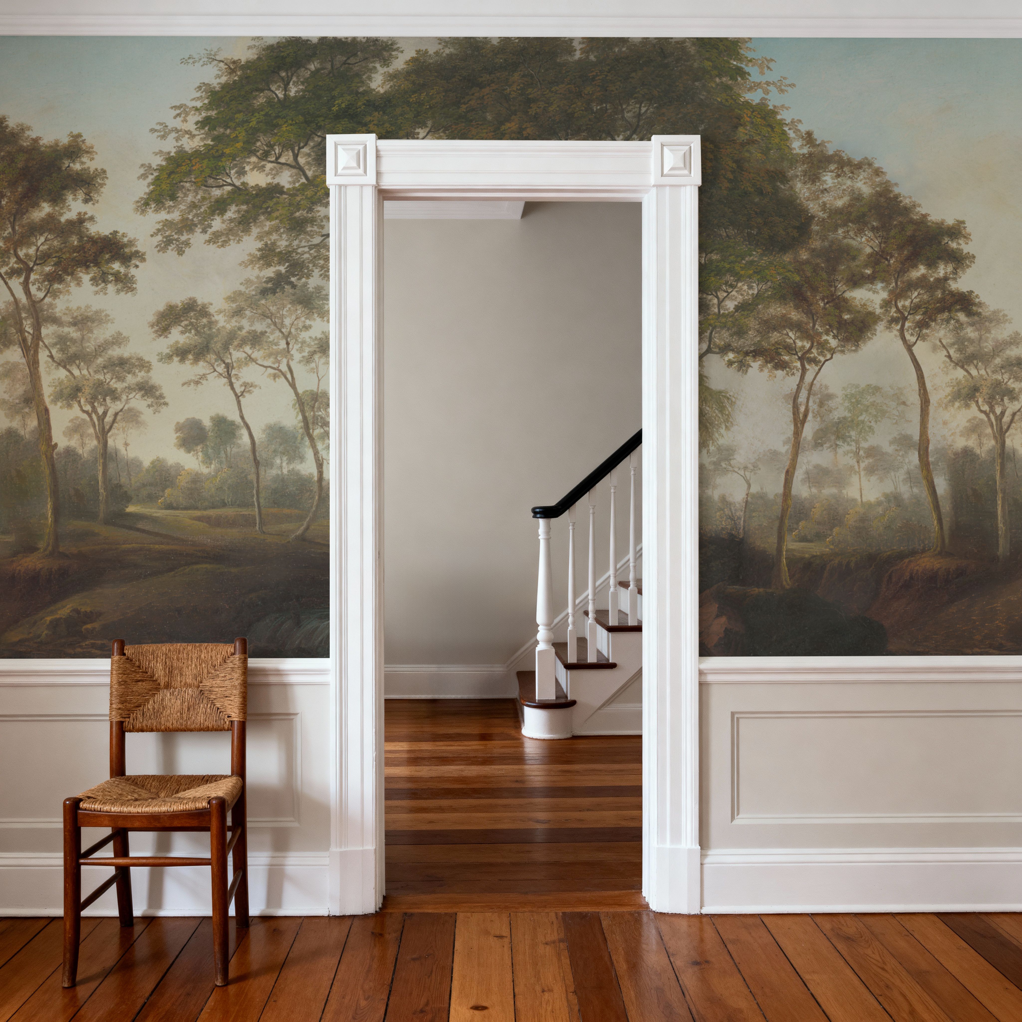 Woodland Brook, Morning Green